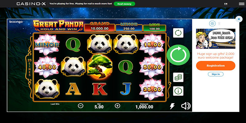 Great Panda