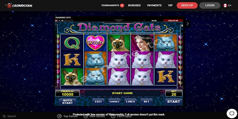 Diamond Cats