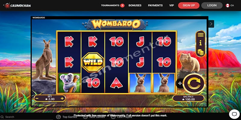 Wombaroo