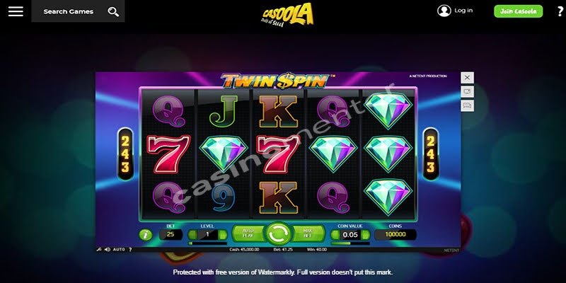 Twin Spin