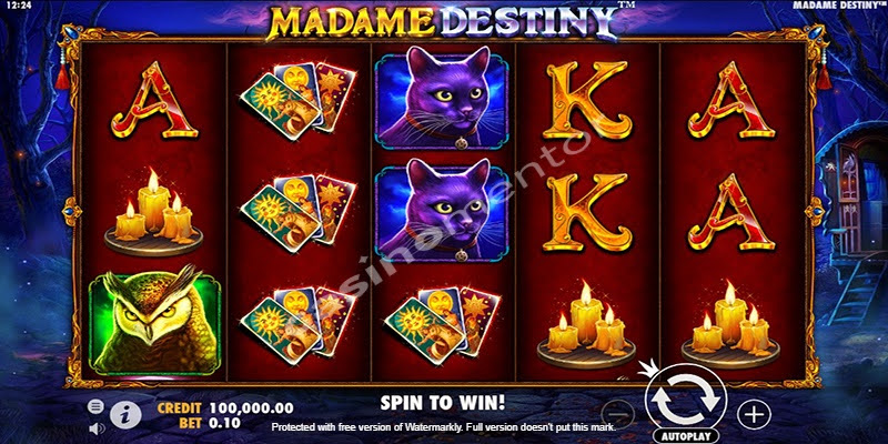 Madame Destiny