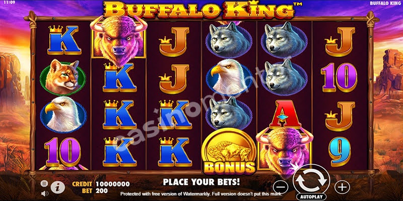 Buffalo King