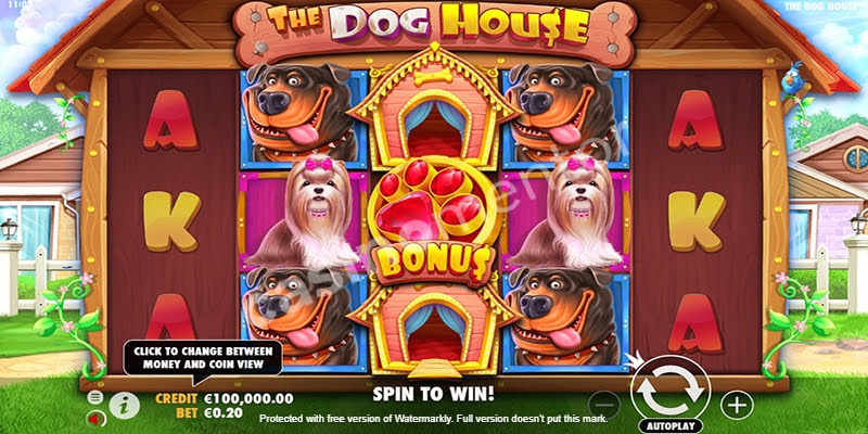 The Dog House