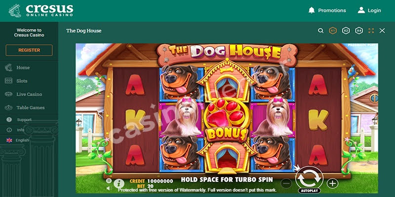 The Dog House