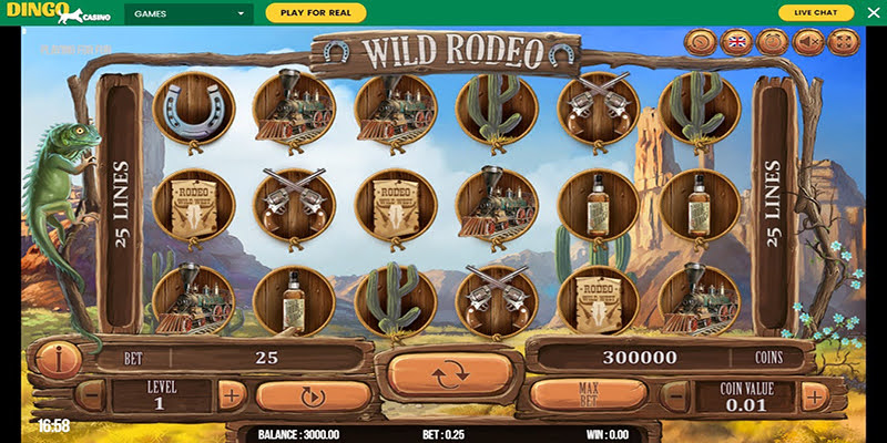 Wild Rodeo