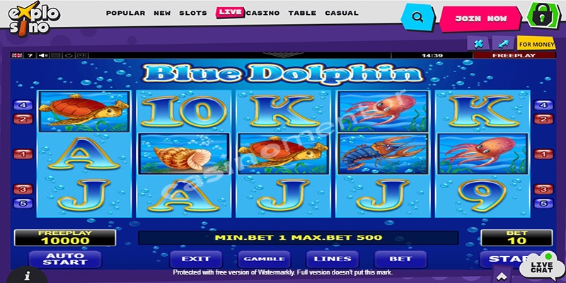 Blue Dolphin