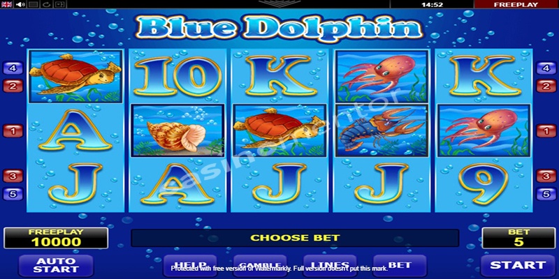 Blue Dolphin