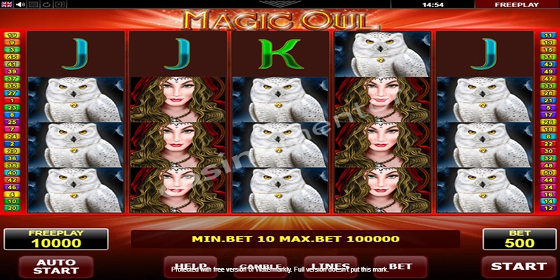 Magic Owl