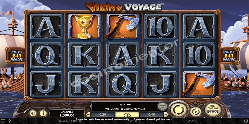 Viking Voyage