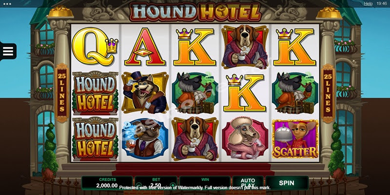 Hound Hotel