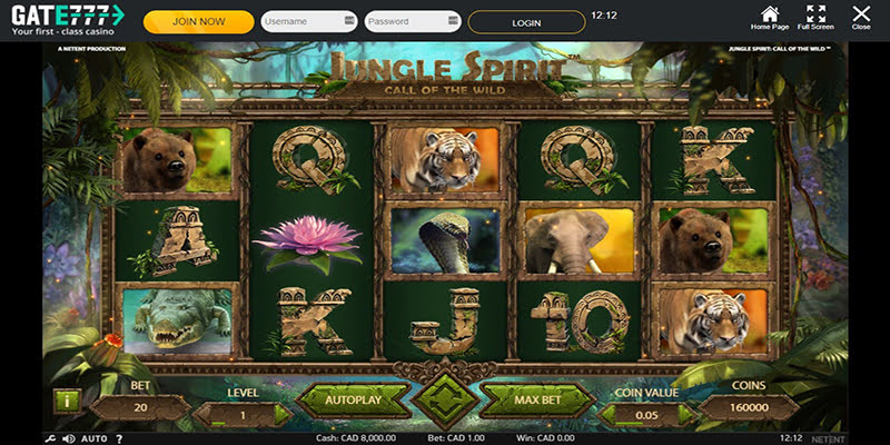 Jungle Spirit