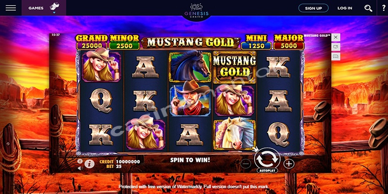 Mustang Gold