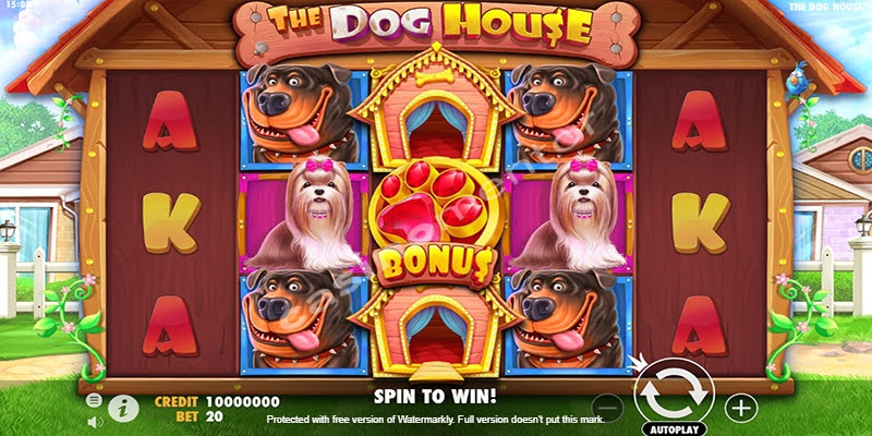 The Dog House