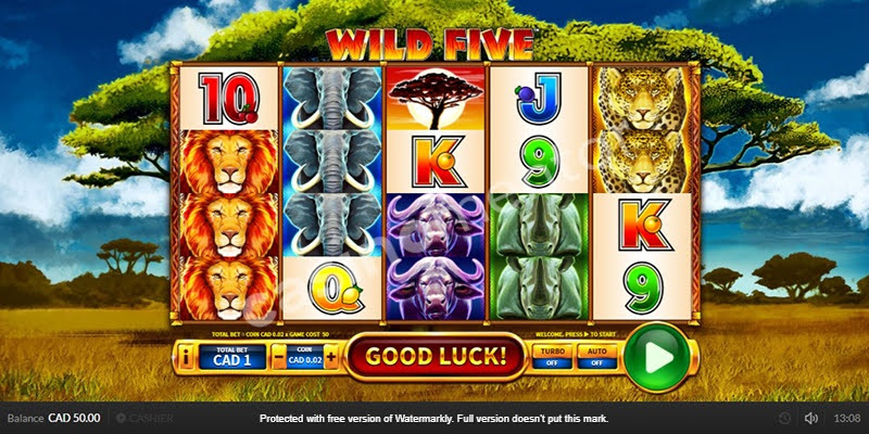 Wild Five