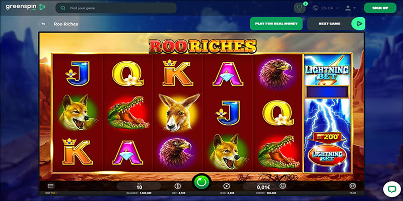 Roo Riches