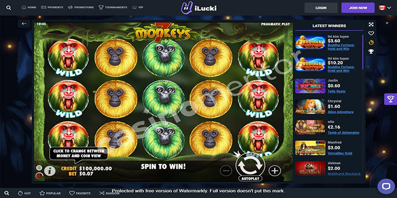 7 Monkeys