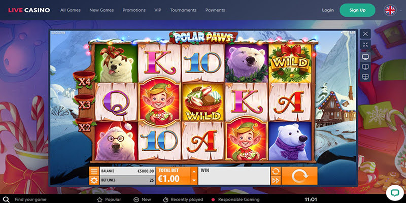 Polar Paws