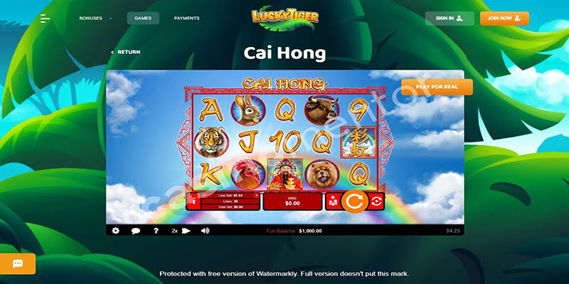 Cai Hong