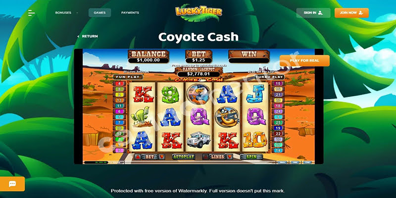 Coyote Cash