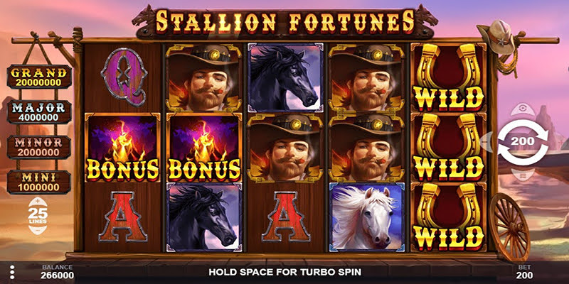 Stallion Fortunes