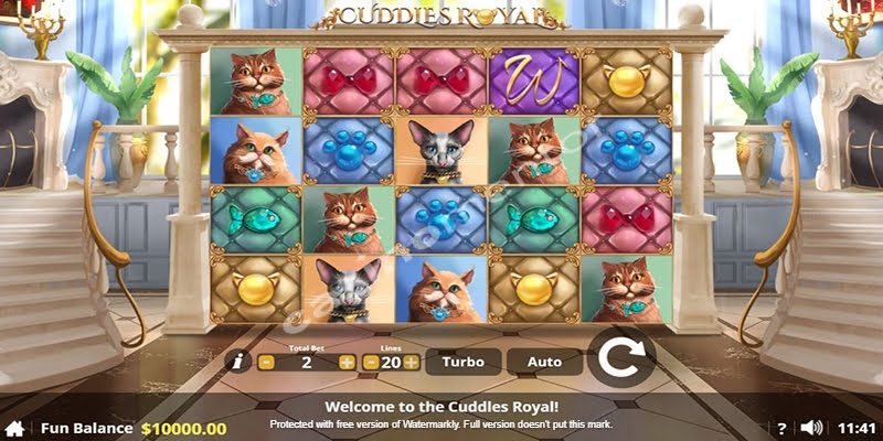 Cuddles Royal
