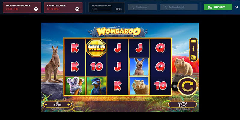 Wombaroo