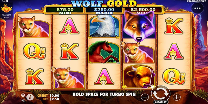 Wold Gold