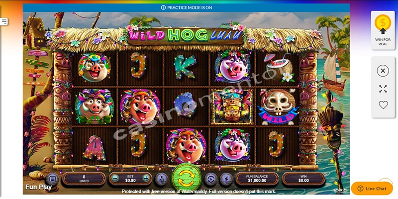 Wild Hog Luau
