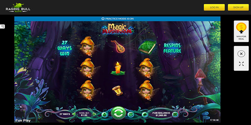 Magic Mushroom