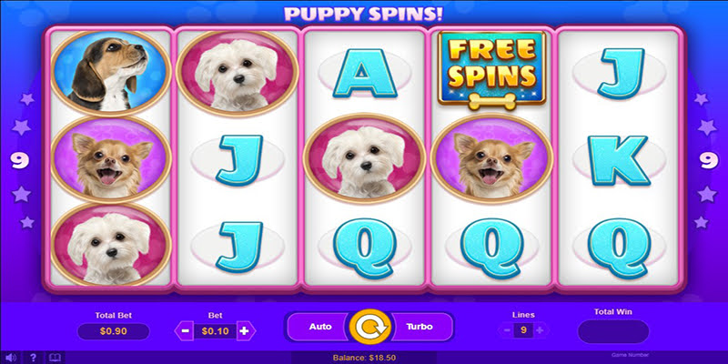 Puppy Spins