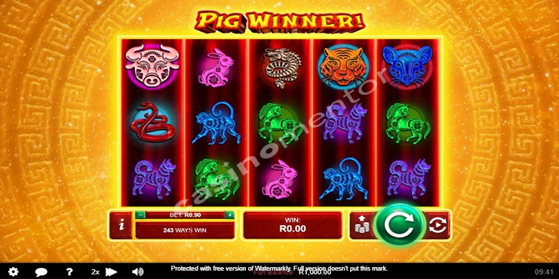 Pig Winner