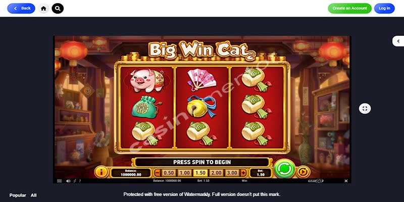Big Win Cat