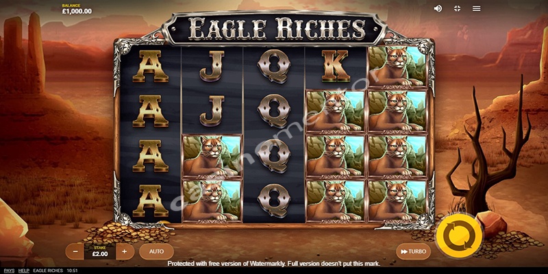 Eagle Riches