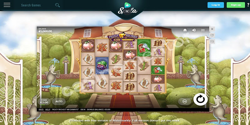 Piggy Riches
