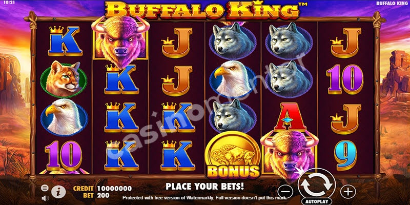 Buffalo King