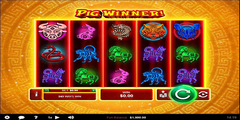 Pig Winner