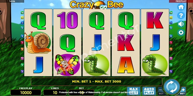 Crazy Bee