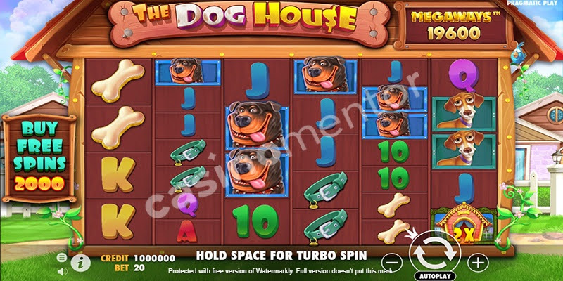 The Dog House
