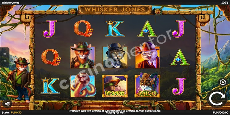 Whisker Jones