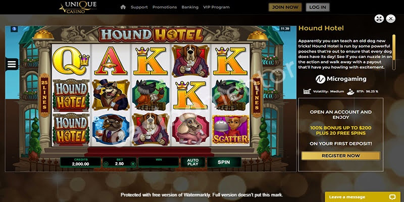 Hound Hotel