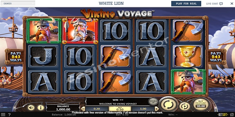 Viking Voyage