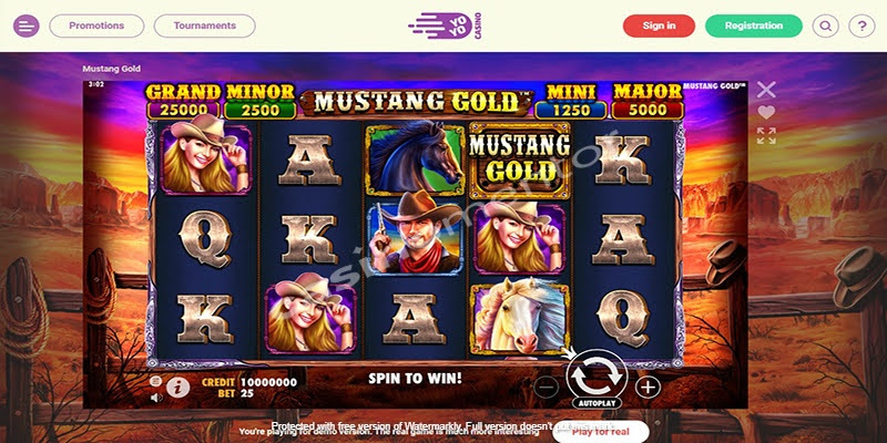 Mustang Gold